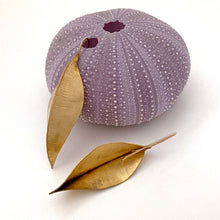 Load image into Gallery viewer, Brass fold formed earrings handmade btruso